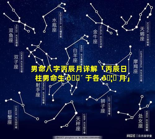 男命八字丙辰月详解「丙辰日柱男命生 🌴 于各 🦅 月」